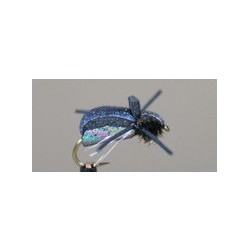 Flying Loco Beetle