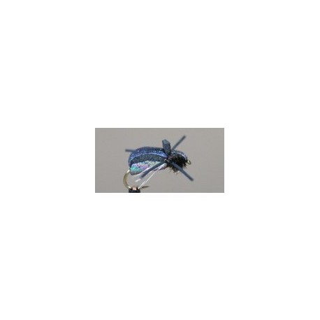 Flying Loco Beetle