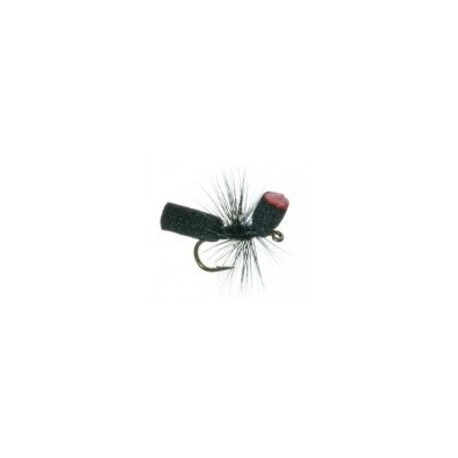 Foam Ant