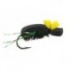 Foam Beetle