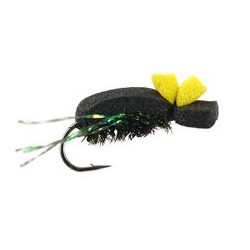 Foam Beetle