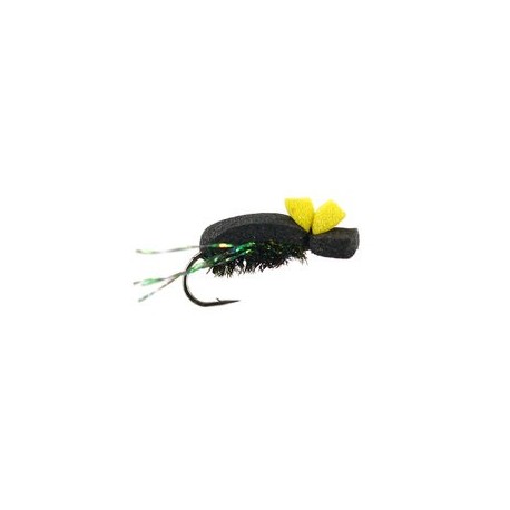 Foam Beetle