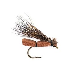 Foam Bug Brown