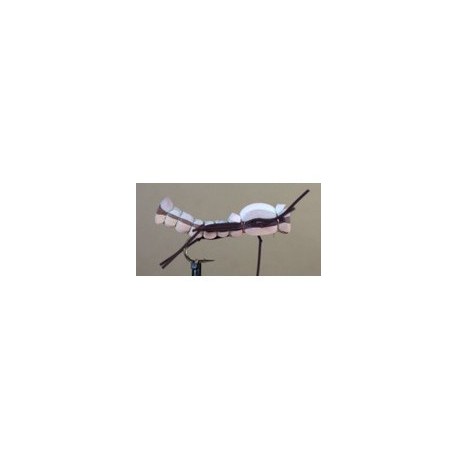 Foam Terrestrial (Gray)