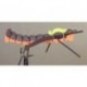 Foam Terrestrial (Orange)