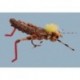Furimskys Hot Legs Hopper Tan
