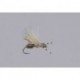 Galloups Brown Ant Acid