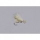 Galloups Cinnamon Ant Acid