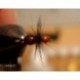 Gorrila Ant