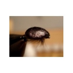 Gorrila Bug