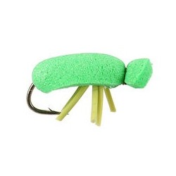 Green Beetle
