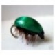 Green Beetle