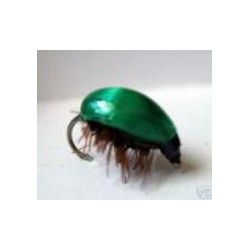 Green Beetle