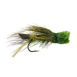Green Cicada
