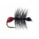 Hard Body Bicoloured Red Black Ant