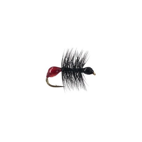 Hard Body Bicoloured Red Black Ant