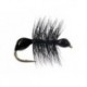 Hard Body Black Ant