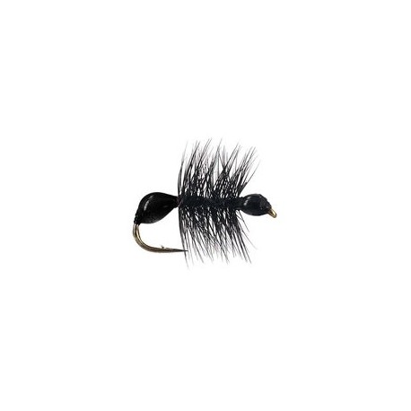 Hard Body Black Ant