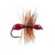 Hard Body Red Ant