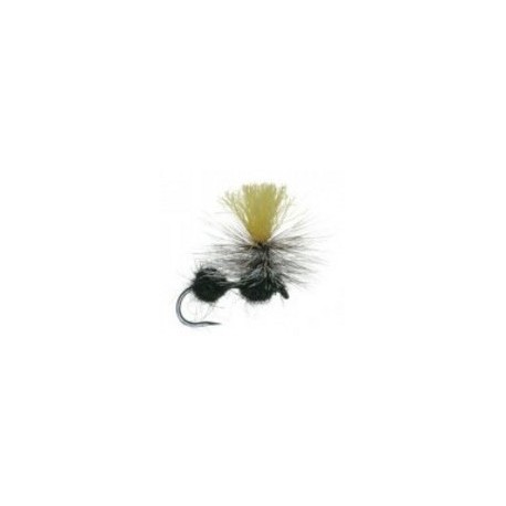 Hivis Ant Black