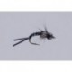 Egrys Black Holo Baetis