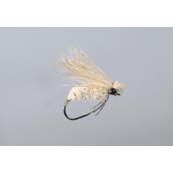 Janiecs Summer Moth