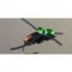 Japanese Beetle