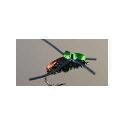 Japanese Beetle