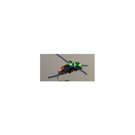 Japanese Beetle