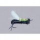 Js Black Mudfoot