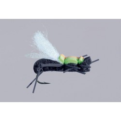 Js Black Mudfoot