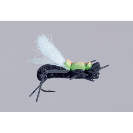 Js Black Mudfoot