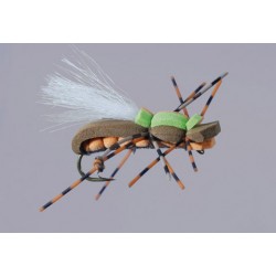 Js Cinn Org Mudfoot