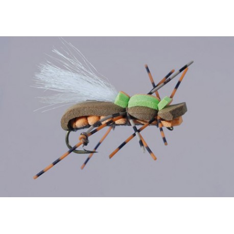 Js Cinn Org Mudfoot