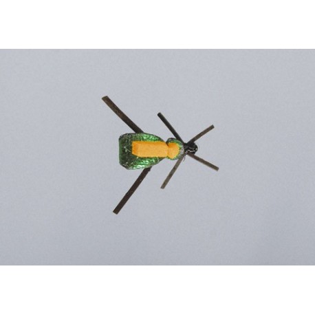Js Green Beetle