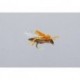 Js Tree Hopper