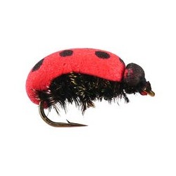 Lady Bug