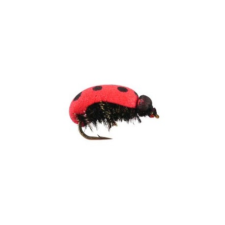 Lady Bug