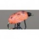 Lady Bug Foam