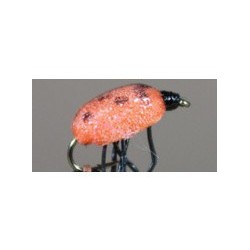 Lady Bug Foam