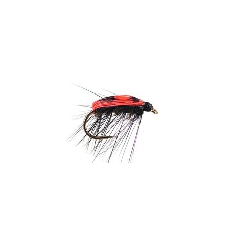 Lady Bug