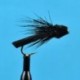 Letort Cricket
