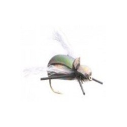 Loco Beetle