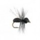 Magic Wing Flying Ant