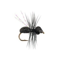 Magic Wing Flying Ant
