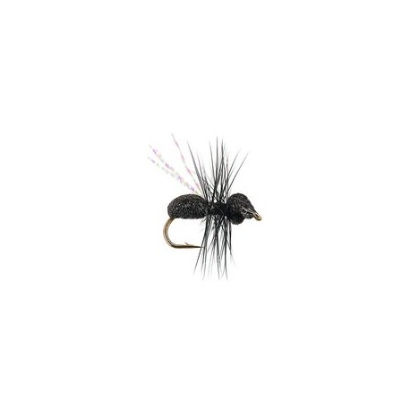 Magic Wing Flying Ant