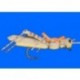 Morrish's Hopper Golden