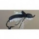 Moth
