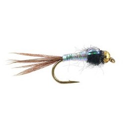 Flashabou Nymph