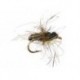 Olive Wing Foam Ant